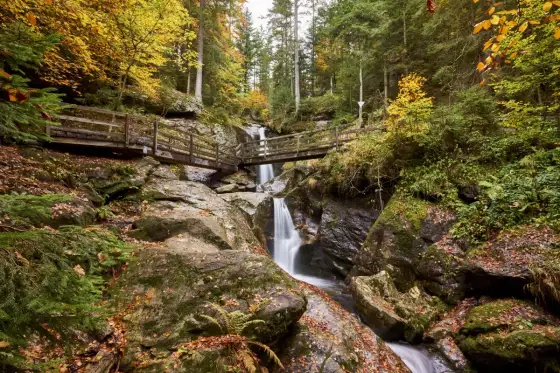 Bayerischer Wald - Die schönsten Ausflugsziele für Natur und Ruhe