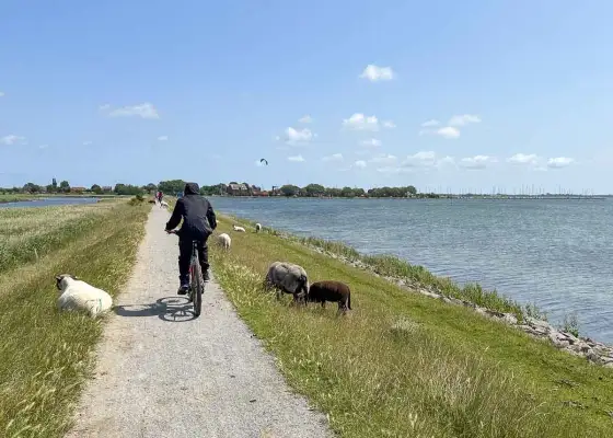 Fehmarn erleben - Küste, Radwege und Schlechtwettertipps